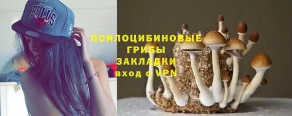герыч Нязепетровск