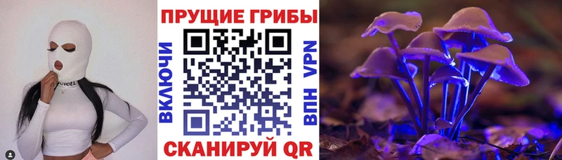 даркнет сайт  Тетюши  Псилоцибиновые грибы Magic Shrooms 